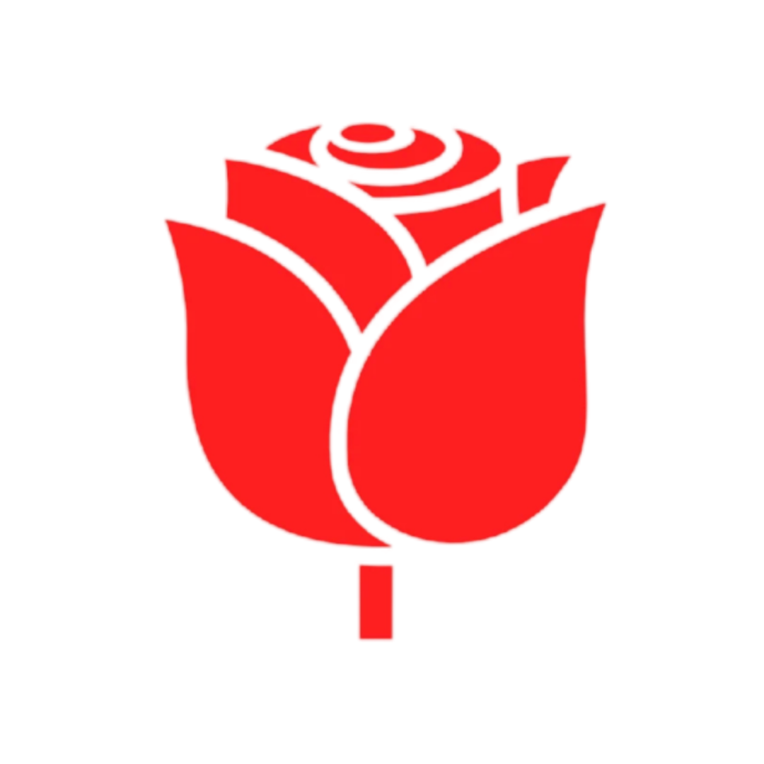 Rose Pro Cleaning Service LLC logo